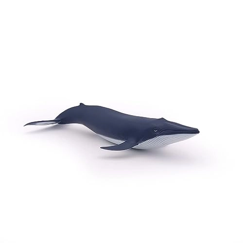 Marine Life - Blue Whale calf (56041)