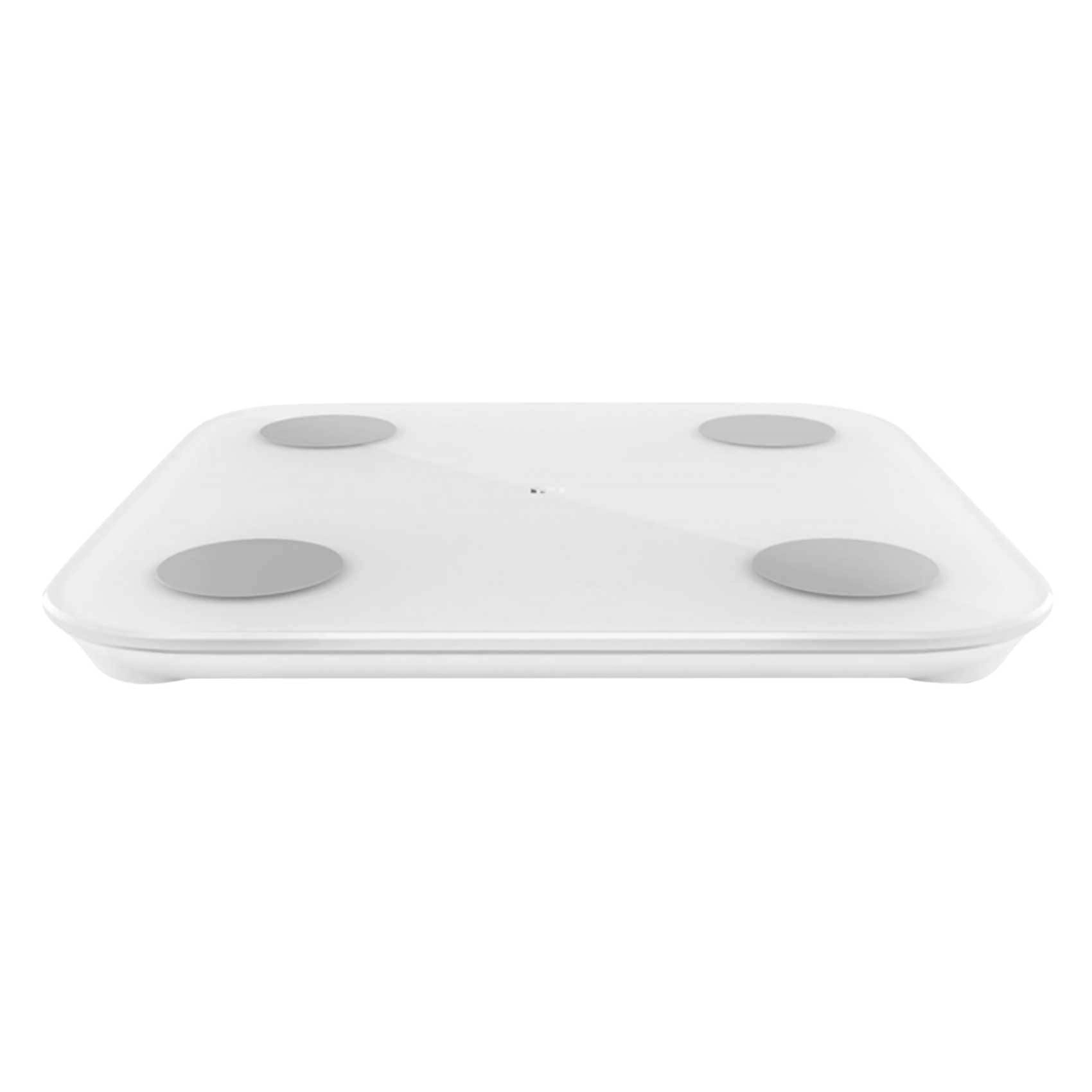 Body Composition Scale
