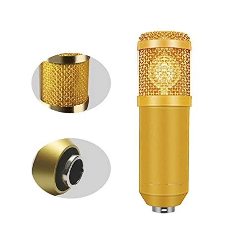 01 Condenser Wired Microphone Bundle