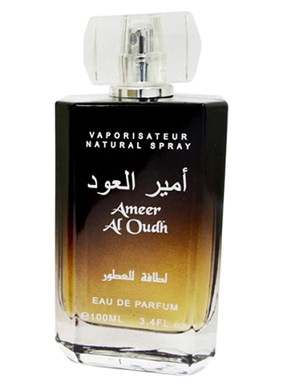 Ameer Al Oudh Eau de Parfum 100 ml
