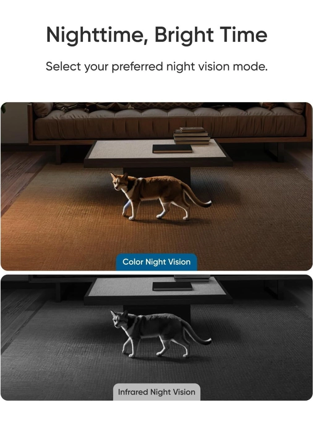 Indoor Cam S350