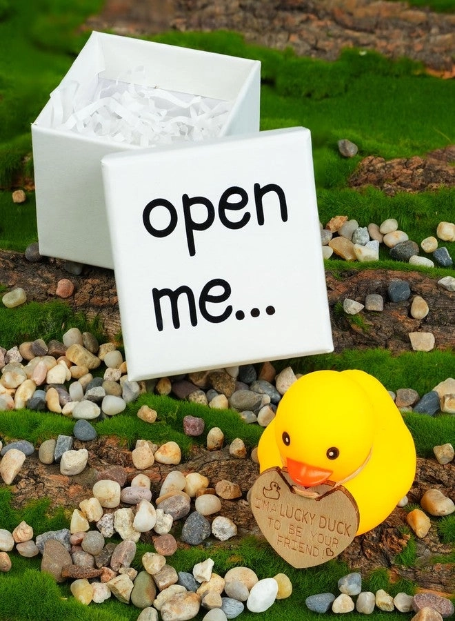 Lucky Duck - Mini Rubber Gift Set