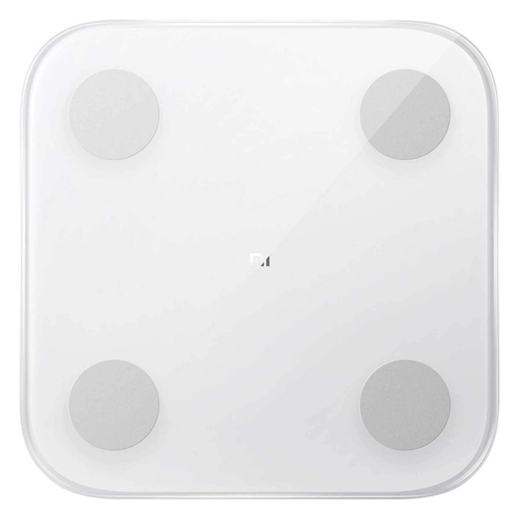 Body Composition Scale
