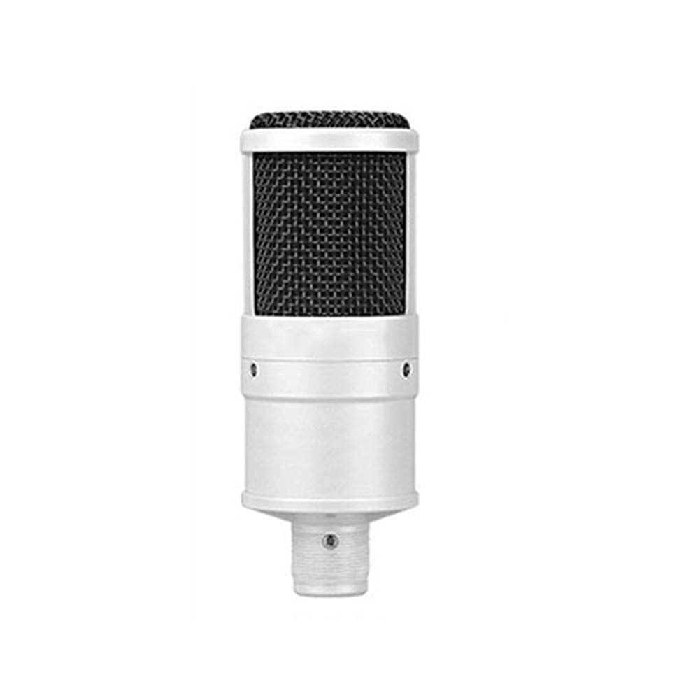8559899 USB Microphone Set