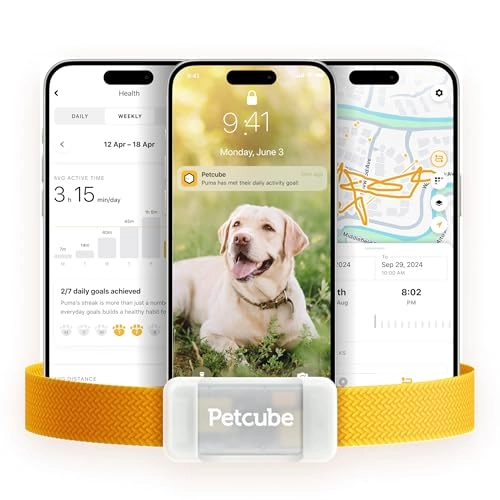 Petcube GPS Tracker
