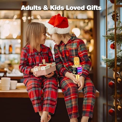 Karaoke Microphone Q78 - Bluetooth Disco Lights Echo Effect