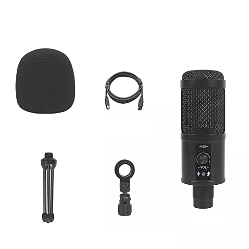 ss1/i47654 USB Microphone