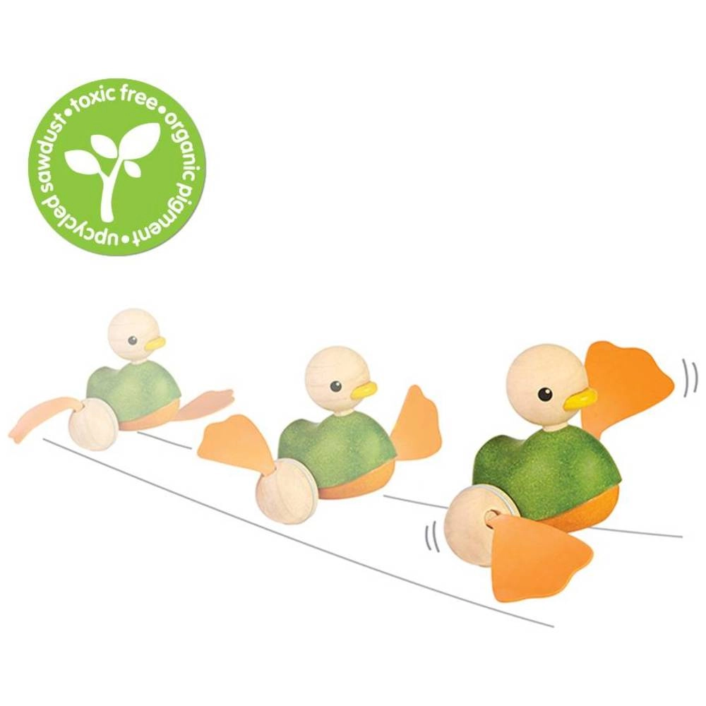 Push Along Duck - 3 + Multi Colour