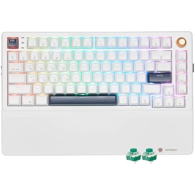 E2s Pro - Wired/Wireless