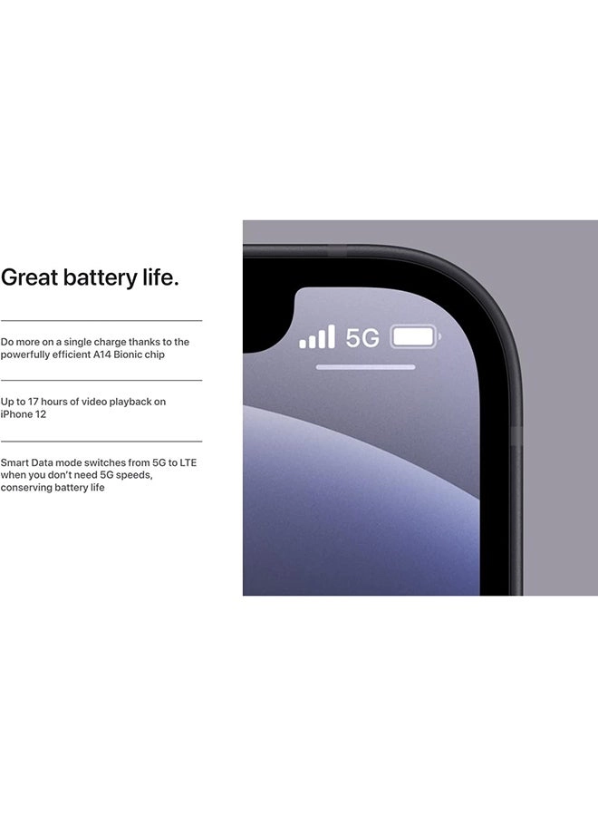 (Renewed) iPhone 12 Mini - 256GB