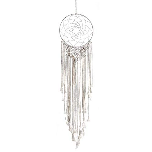 Dreamcatcher - Siderosphere, feathers, lines, wood beads.