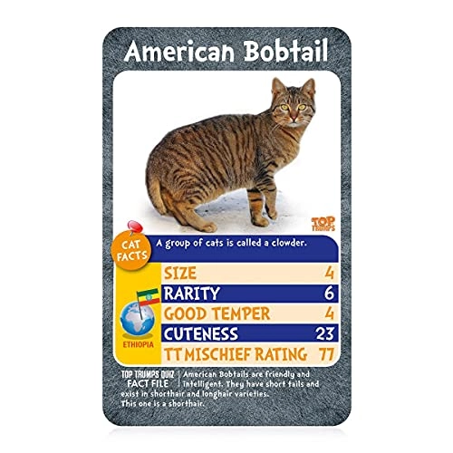Cats Classics Card Game