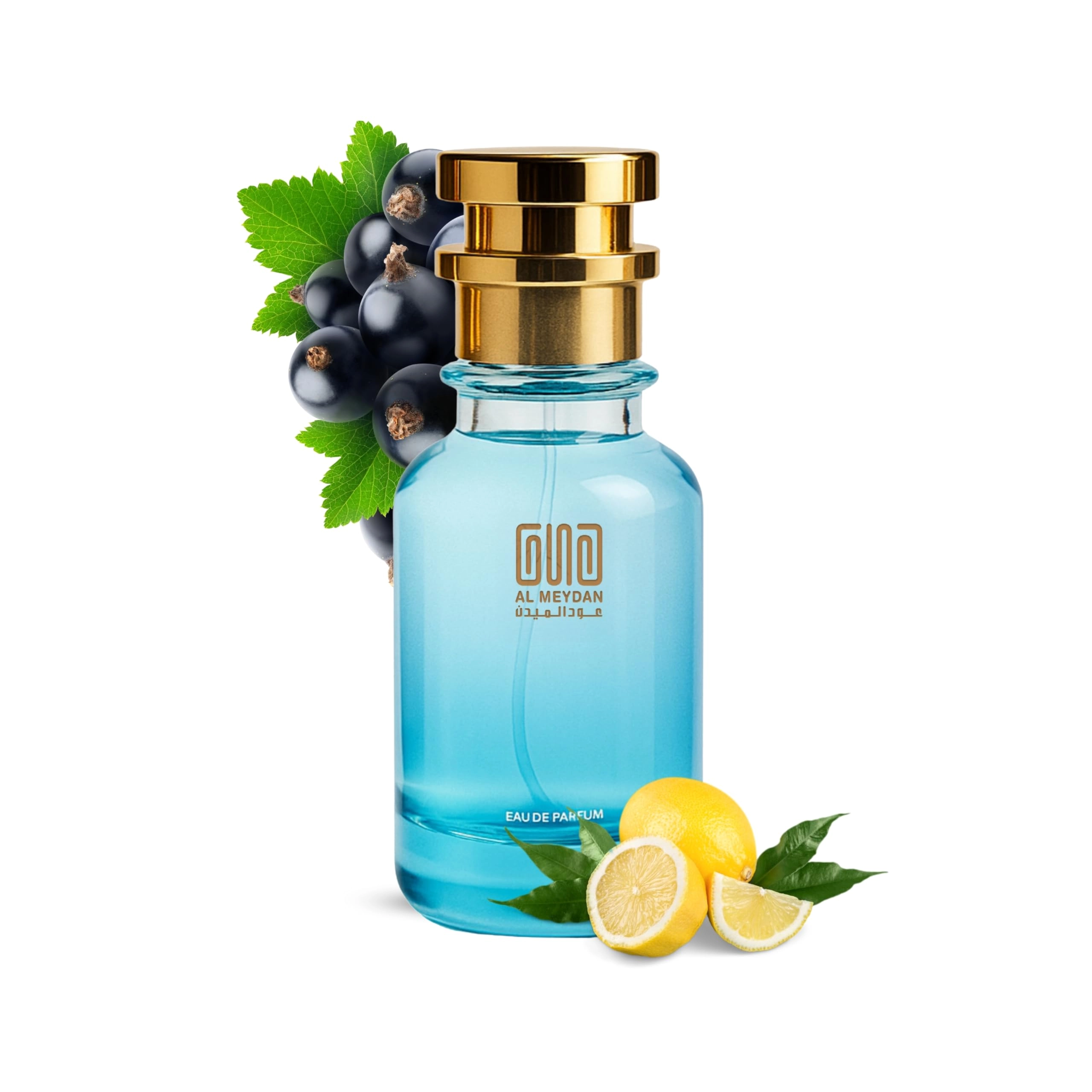 Oud Al Meydan Pacifik Chil Eau de Parfum 100 ml