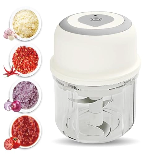 Mini Electric Chopper - 250 ML Type-C Rechargeable