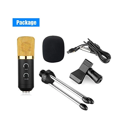 LG/AE8563287 USB+3.5mm-Mini-Jack Microphone