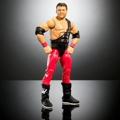 Mattel Jerry Lawler - WWE Survivor Series Elite Action Figure
