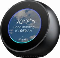 Virtual Assistant Devices