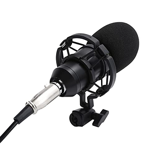 USB Microphone USB Microphone