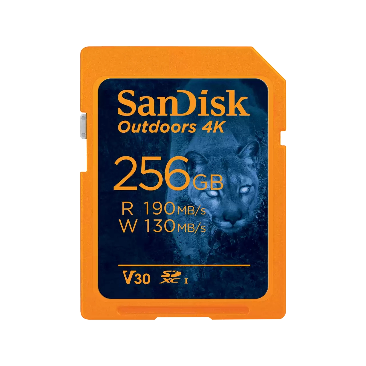 SDSDXXD - 256GB
