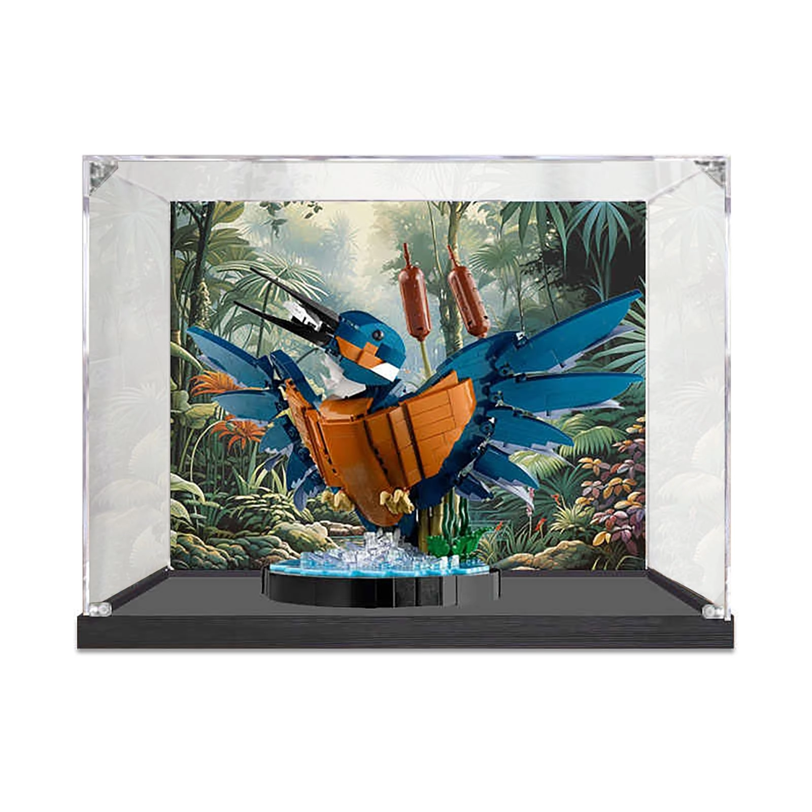 LeafLane Acrylic Display Case - transparent acrylic