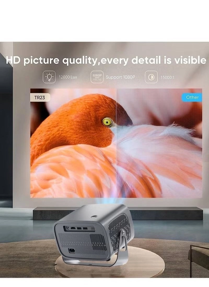 Android 4K BT5.2 LED 360