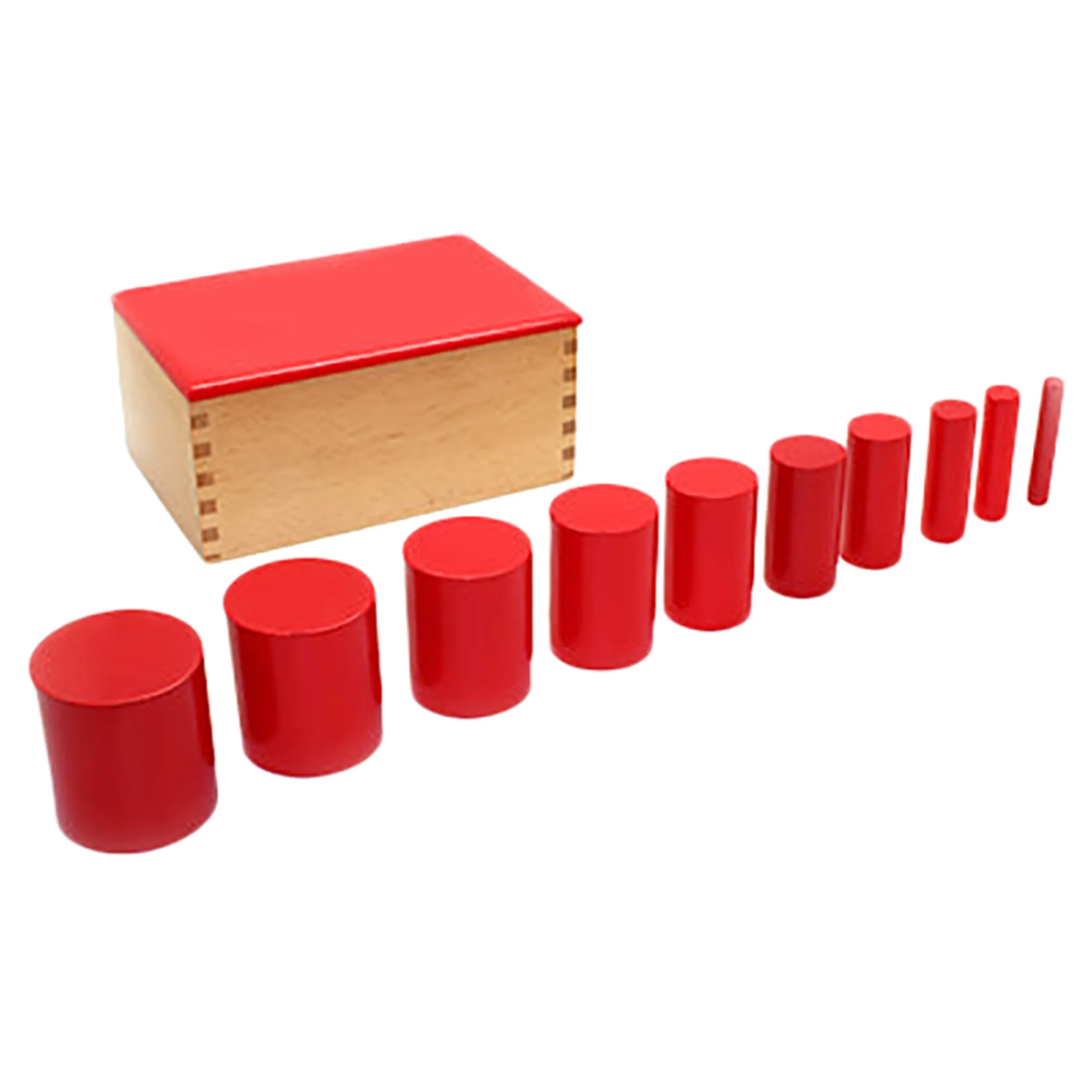 Edu Fun Knobbles Cylinder Model 2 - Suitable for 2 years and above