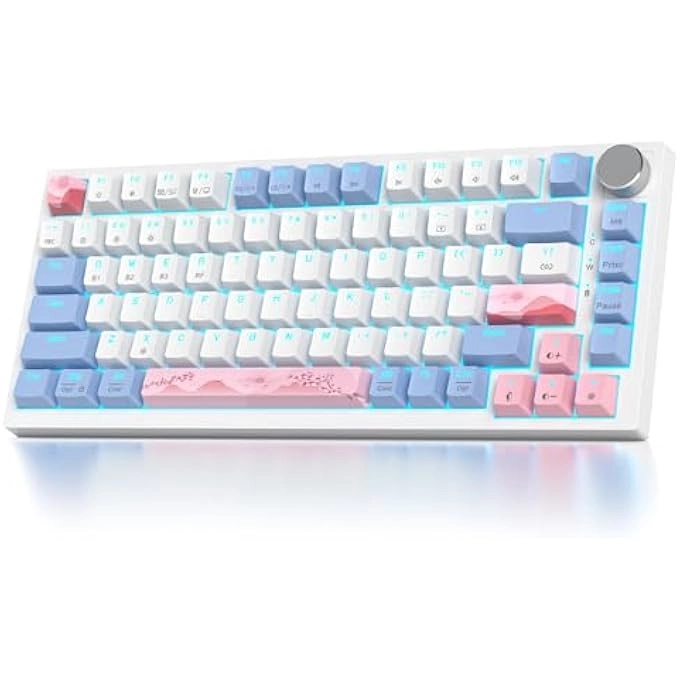 rayihni TK75PRO - Wired/Wireless