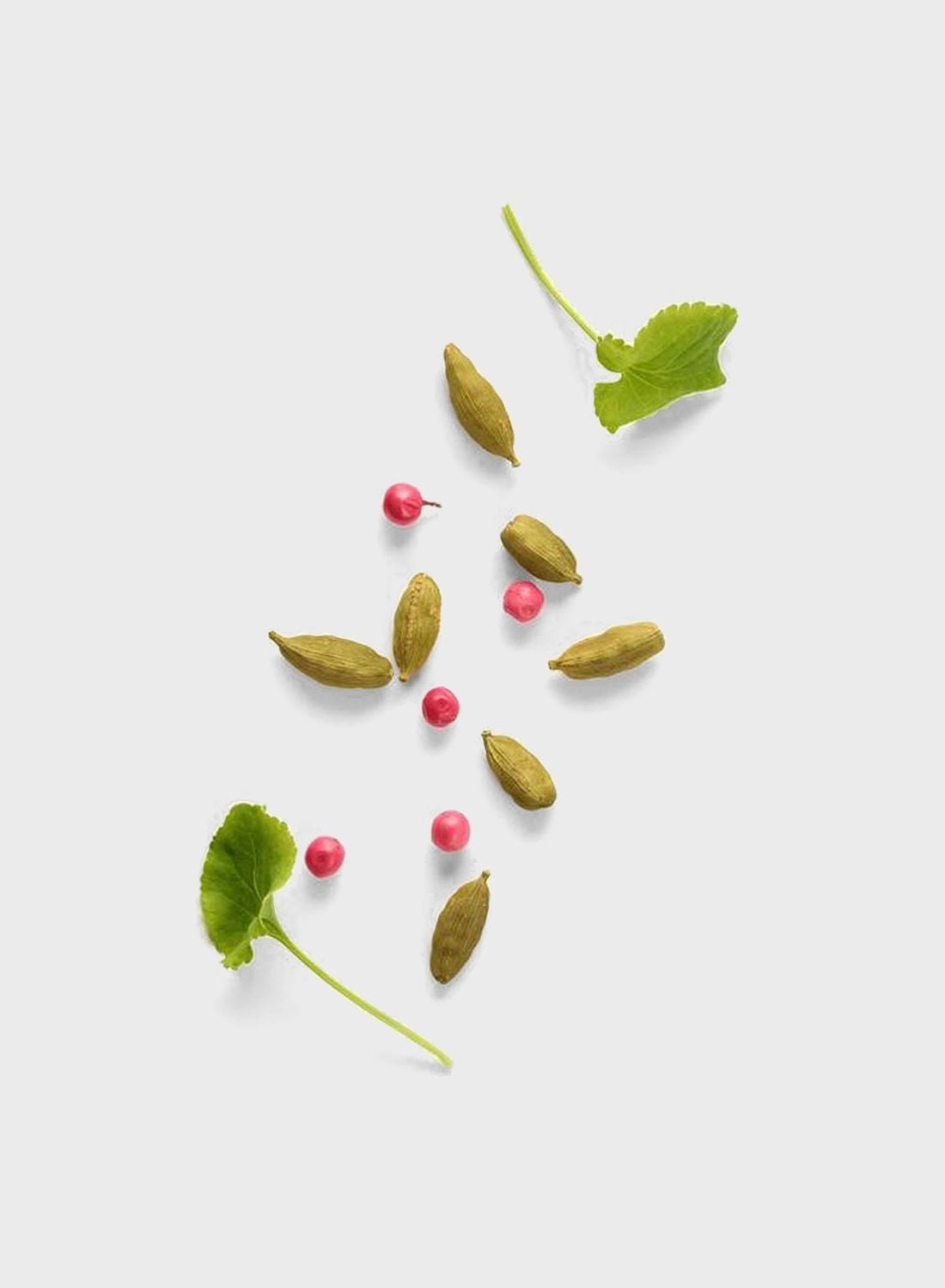 Stronger With You Eau de Toilette 100ml