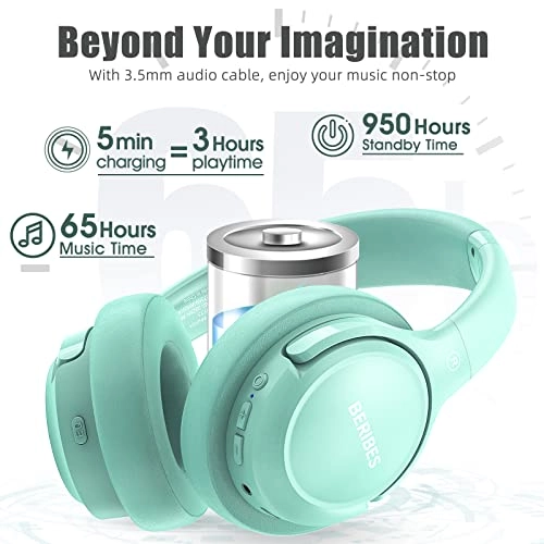 WH202A Wireless Headphone