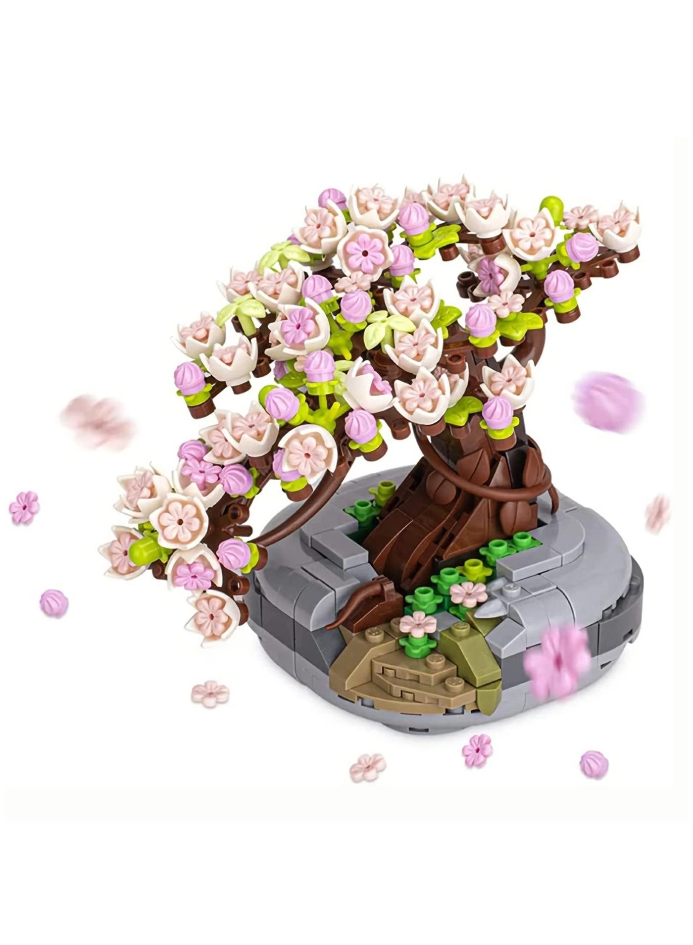 Generic Cherry Blossom Bonsai Tree - Sakura
