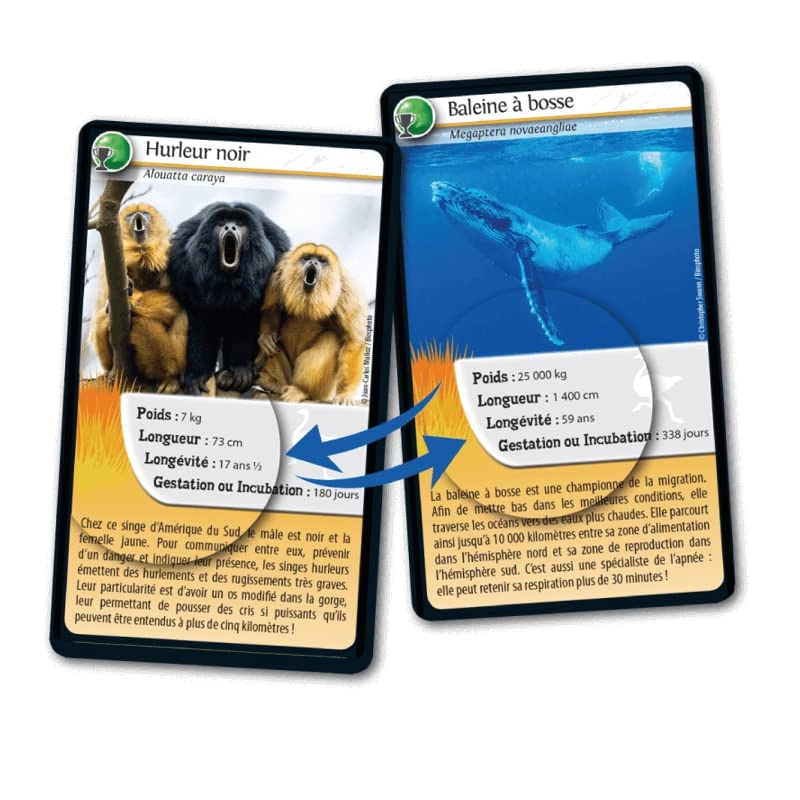 Defi Nature - 7 years and up 36 cards