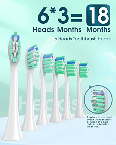 Y01 - 6 Brush Heads Type C 180 Days