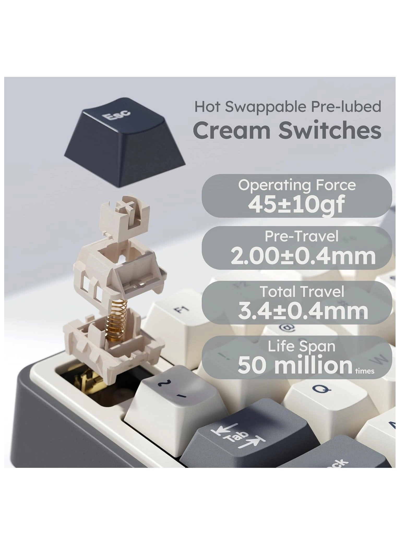 R87 Pro - EN Wired/Wireless