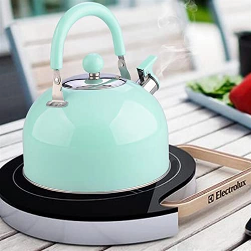 Kettle - Stainless Steel Auburn