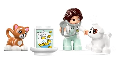 Town Visit to the Vet Clinic