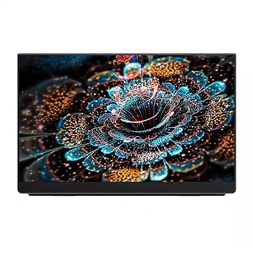 Portable Monitor - wpenshiDM125 15.6 inch 2K