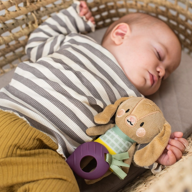 Jenny The Bunny - 0 MONTH +