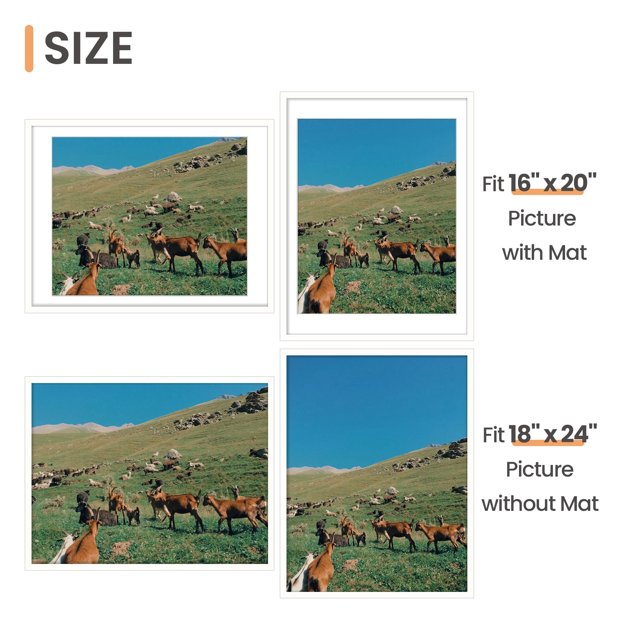 Poster Frame - 18x24 1