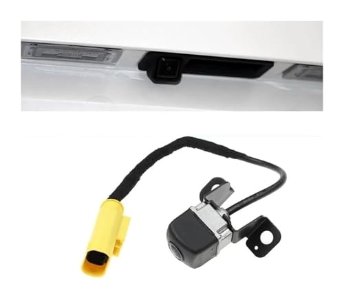 Rear View Camera - Night vision