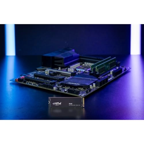 P310 - 2TB M.2