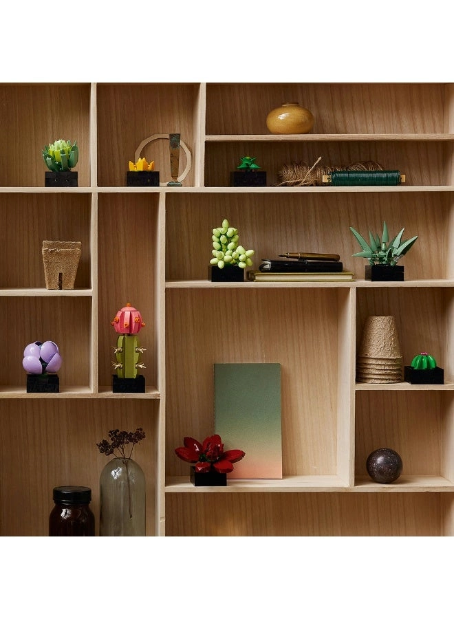 Succulents (10309) - Flowers