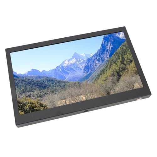 Small HD Monitor - 1024x768 10.1in