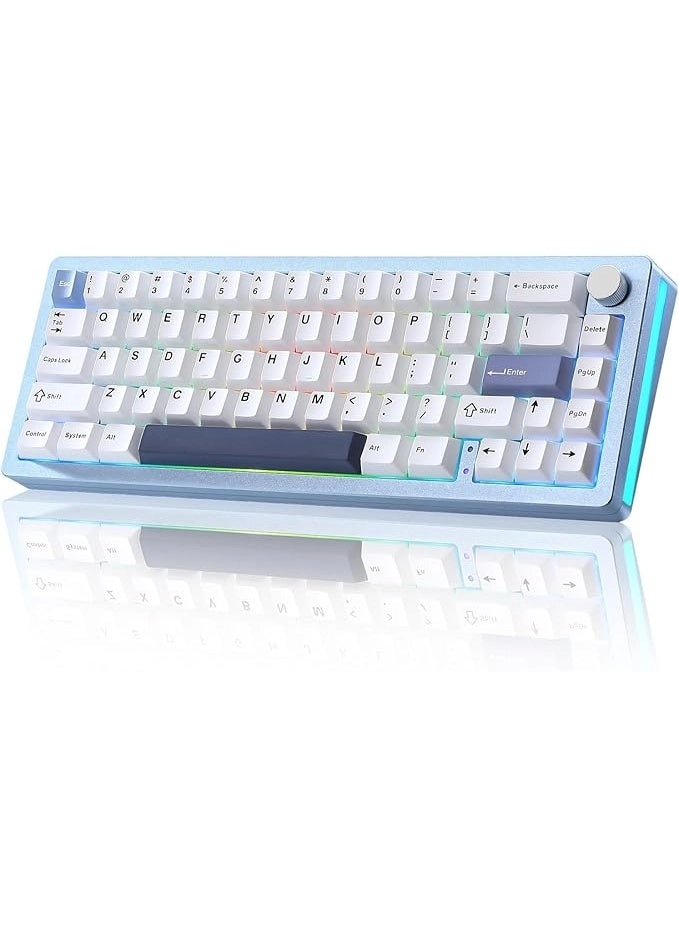 AL66 - 65% Wired/Wireless