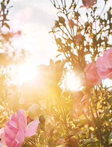 Plein Soleil Eau de Parfum 100 ml