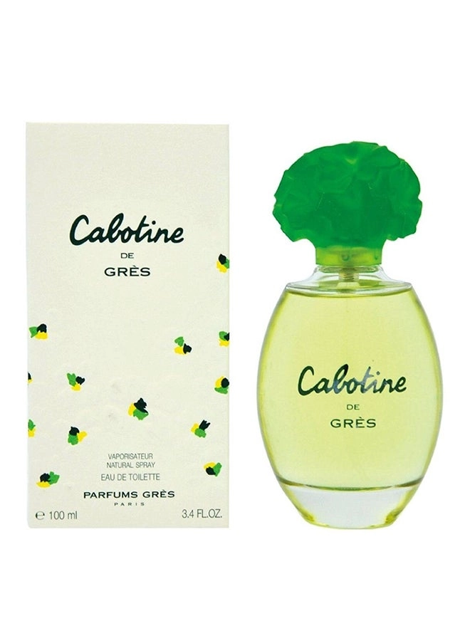 Perfume For Women Eau de Toilette 100ml