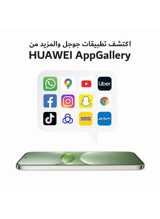 Nova 13 12GB 256GB