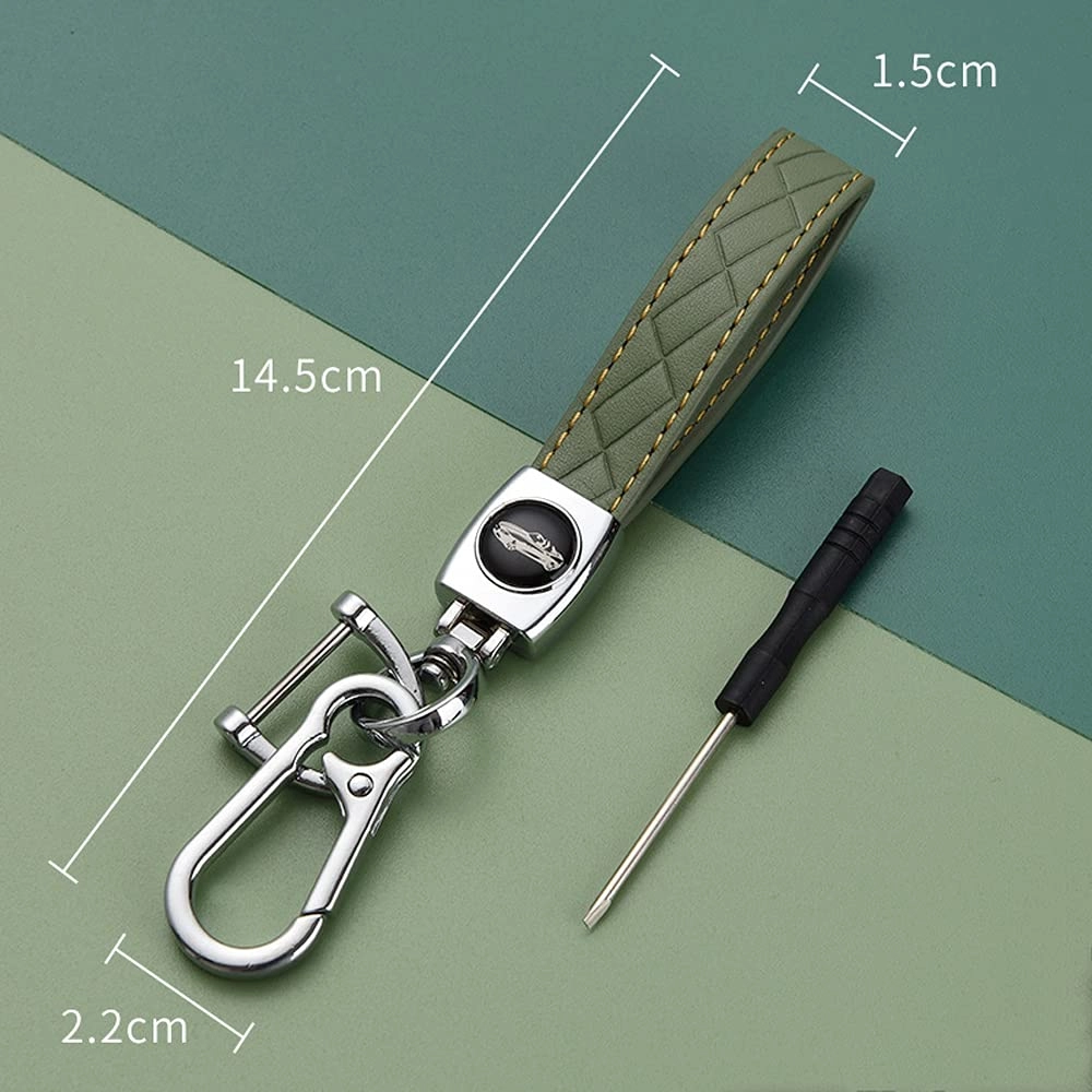 Car key case