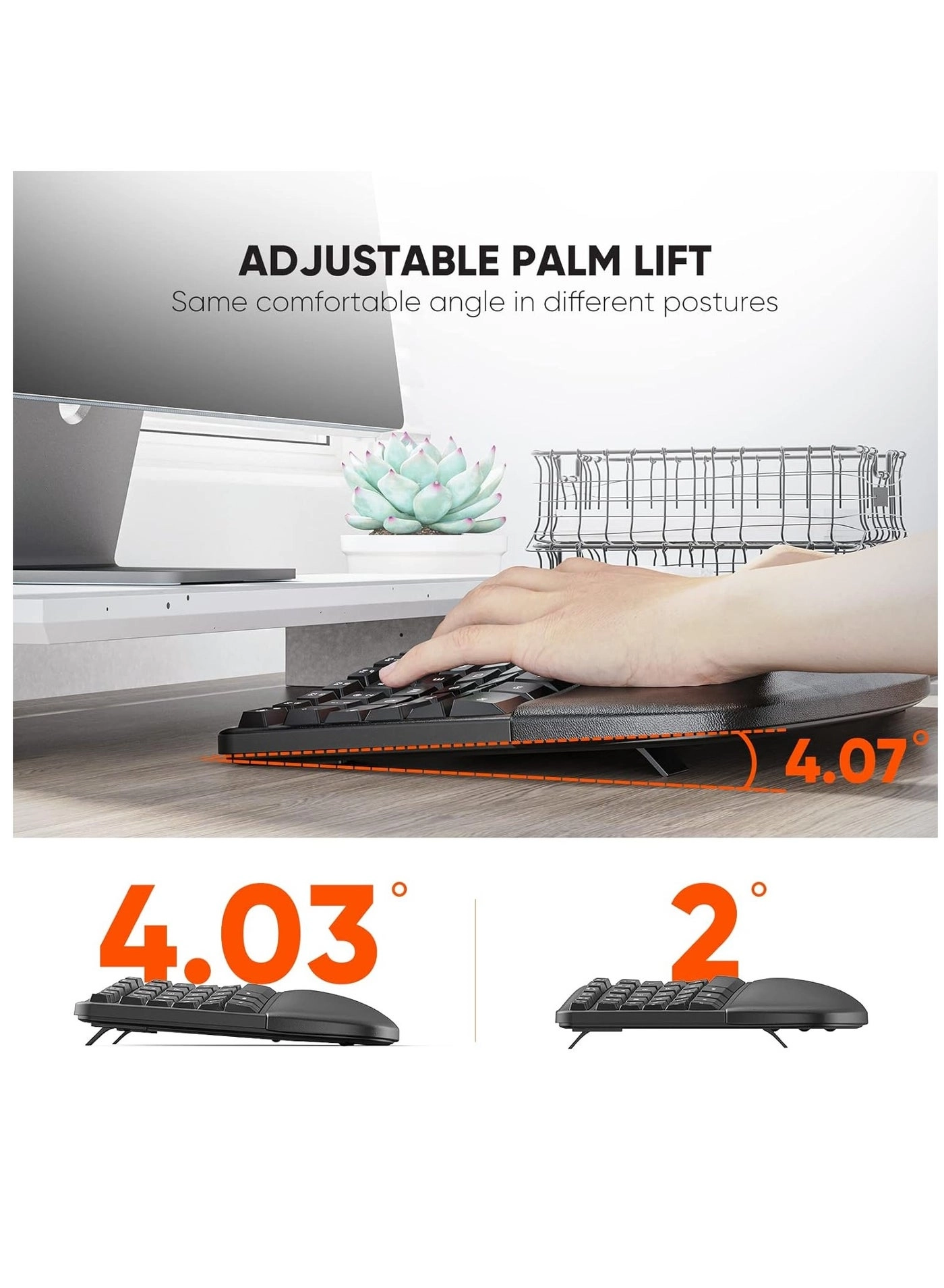 Director-C - English/Arabic Wireless