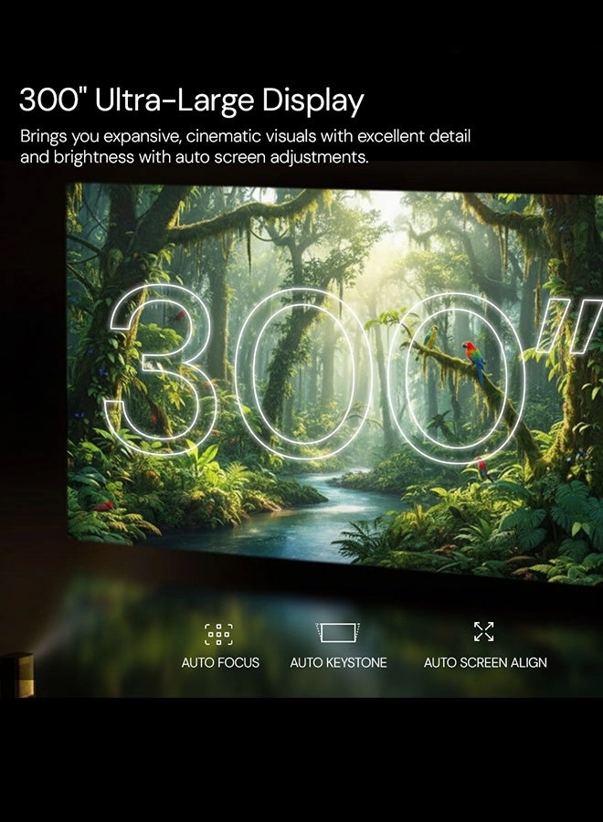 Sky011 300 ANSI Lumens