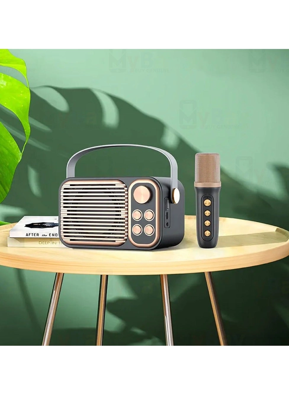 Wireless Karaoke speaker